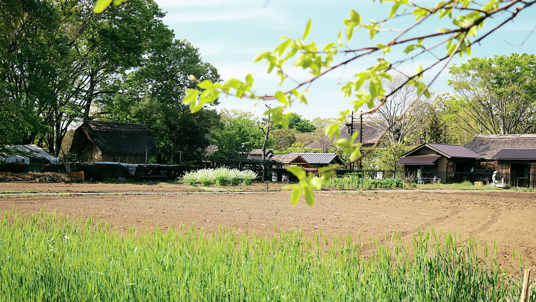 次大夫堀公園民家園